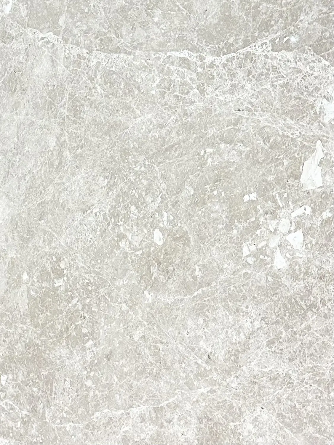 King Beige close-up natural texture