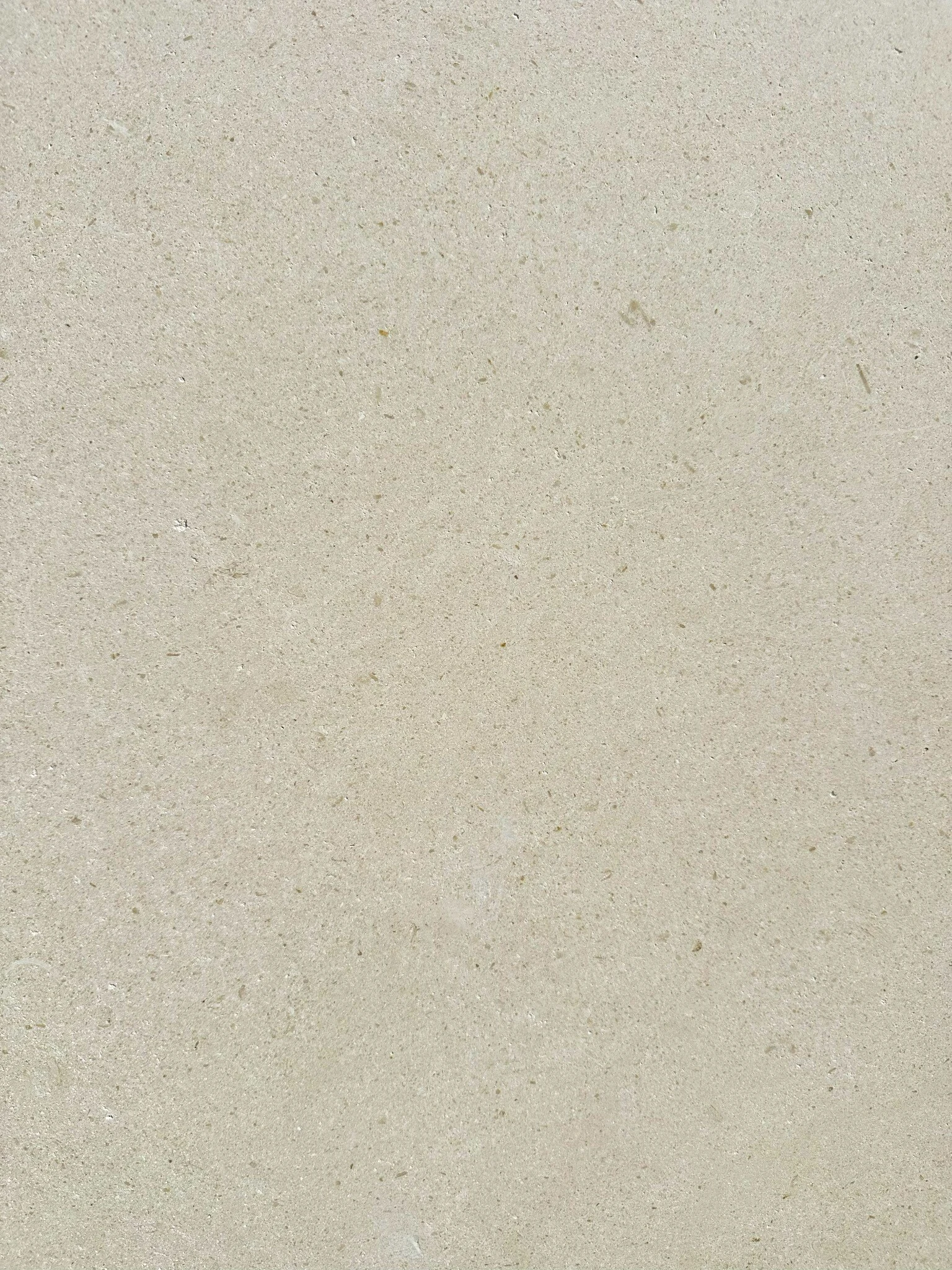 Limra Limestone close-up texture