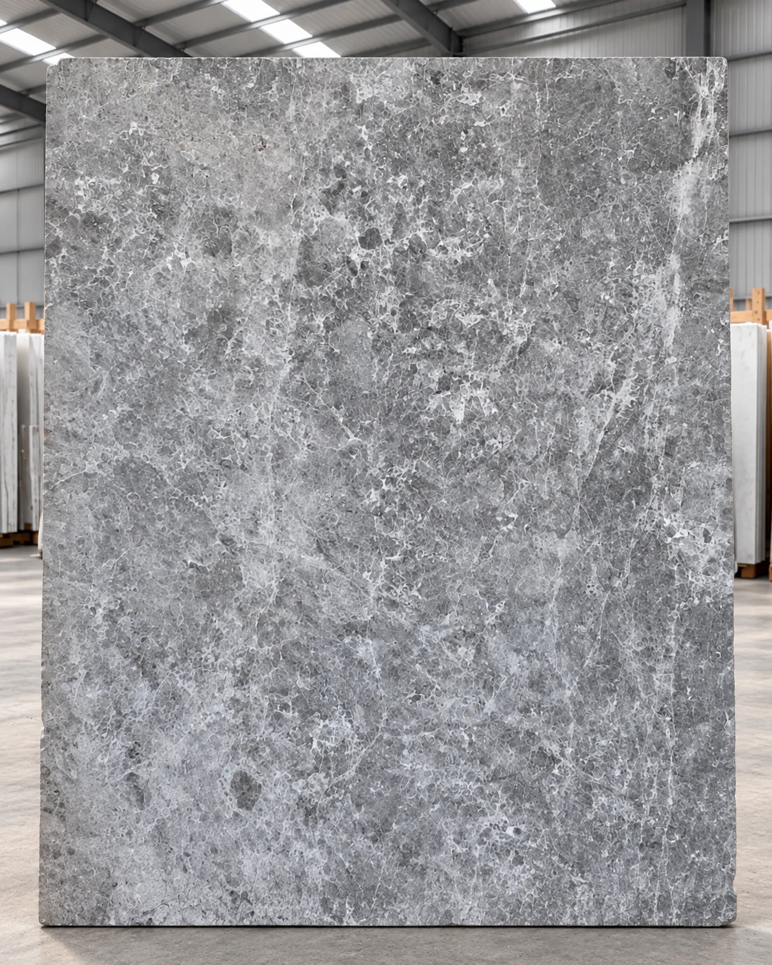 Tundra Grey marble slab texture